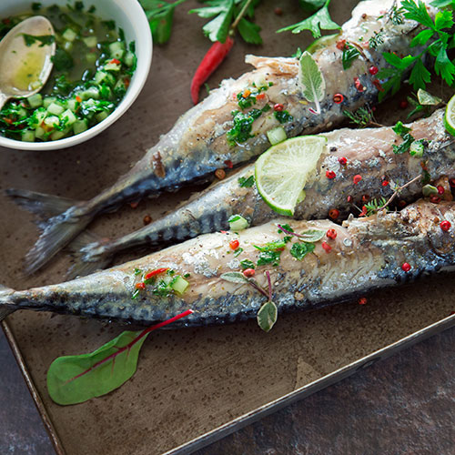 Grilled Mackerel with Chimichurri Sauce