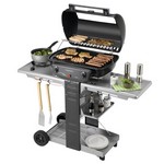 2011 Barbecue