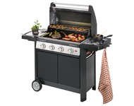 2012 Barbecues