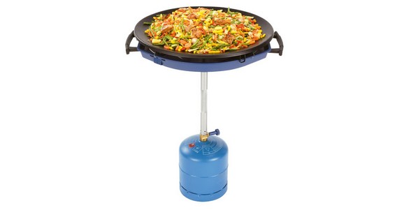 Party Wok